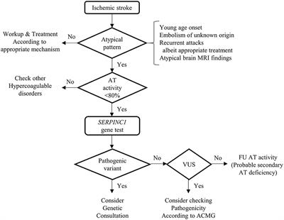 Utility of the SERPINC1 Gene Test in Ischemic Stroke Patients With Antithrombin Deficiency